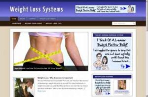 Weight Loss Systems Niche PLR Blog